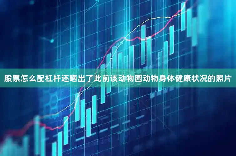 股票怎么配杠杆还晒出了此前该动物园动物身体健康状况的照片