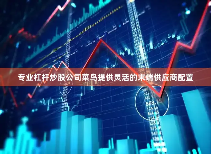 专业杠杆炒股公司菜鸟提供灵活的末端供应商配置
